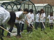 Arab American Service Day NEHS 2011-6