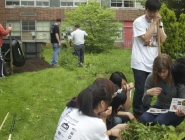 Arab American Service Day NEHS 2011-7